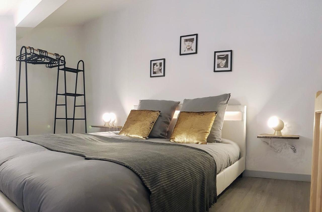 Les Nuits D'Anis - Appartements Hypercentre Le Puy-en-Velay المظهر الخارجي الصورة