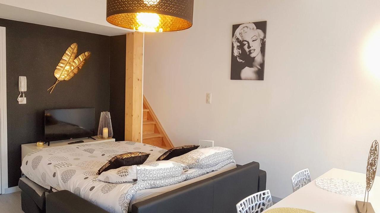 Les Nuits D'Anis - Appartements Hypercentre Le Puy-en-Velay المظهر الخارجي الصورة