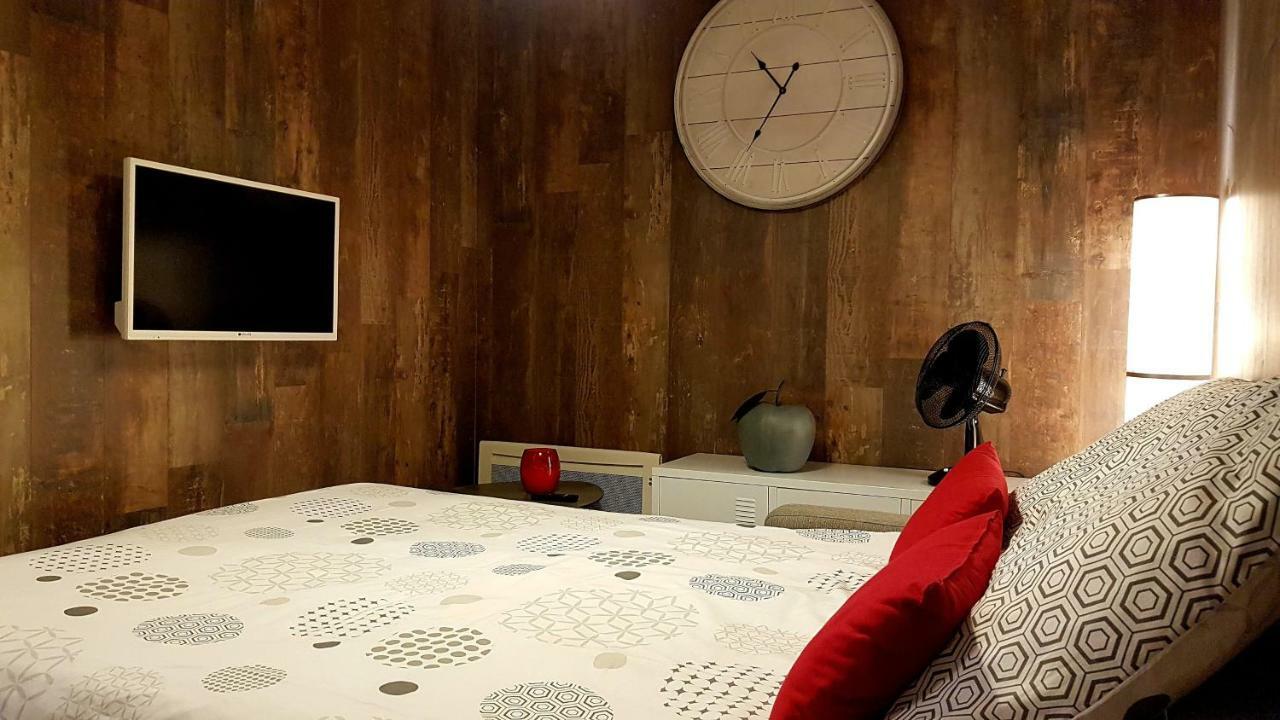 Les Nuits D'Anis - Appartements Hypercentre Le Puy-en-Velay المظهر الخارجي الصورة
